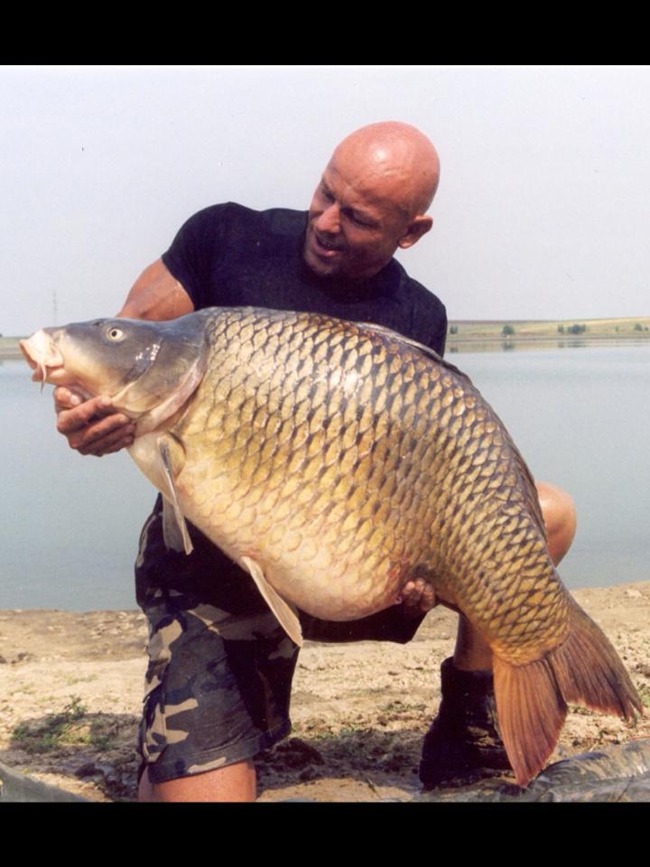 Ardy Veltkamp - 4801873469899787402971356673438n.jpg